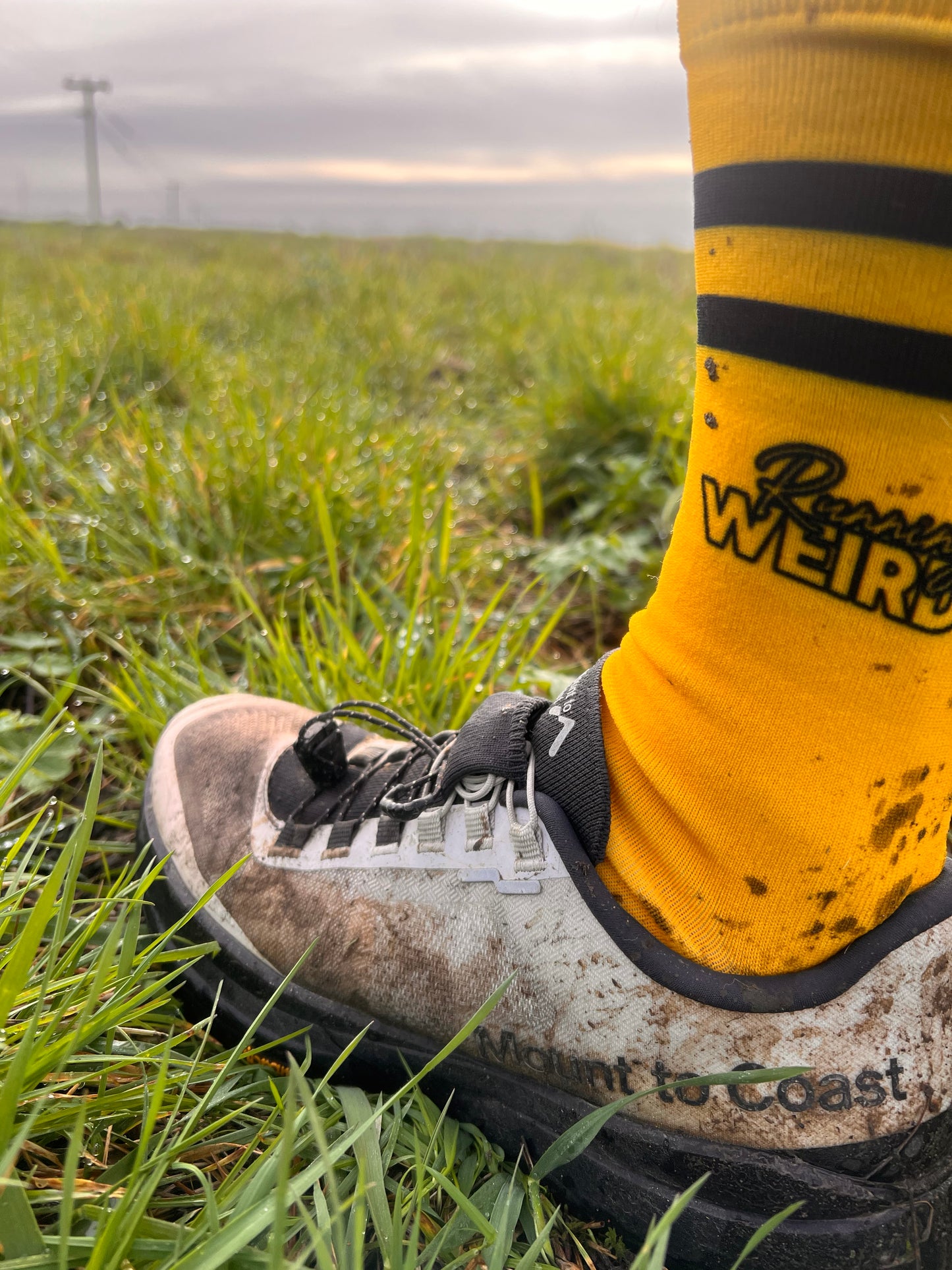RUNNING WEIRDO FUN RUN SOCKS